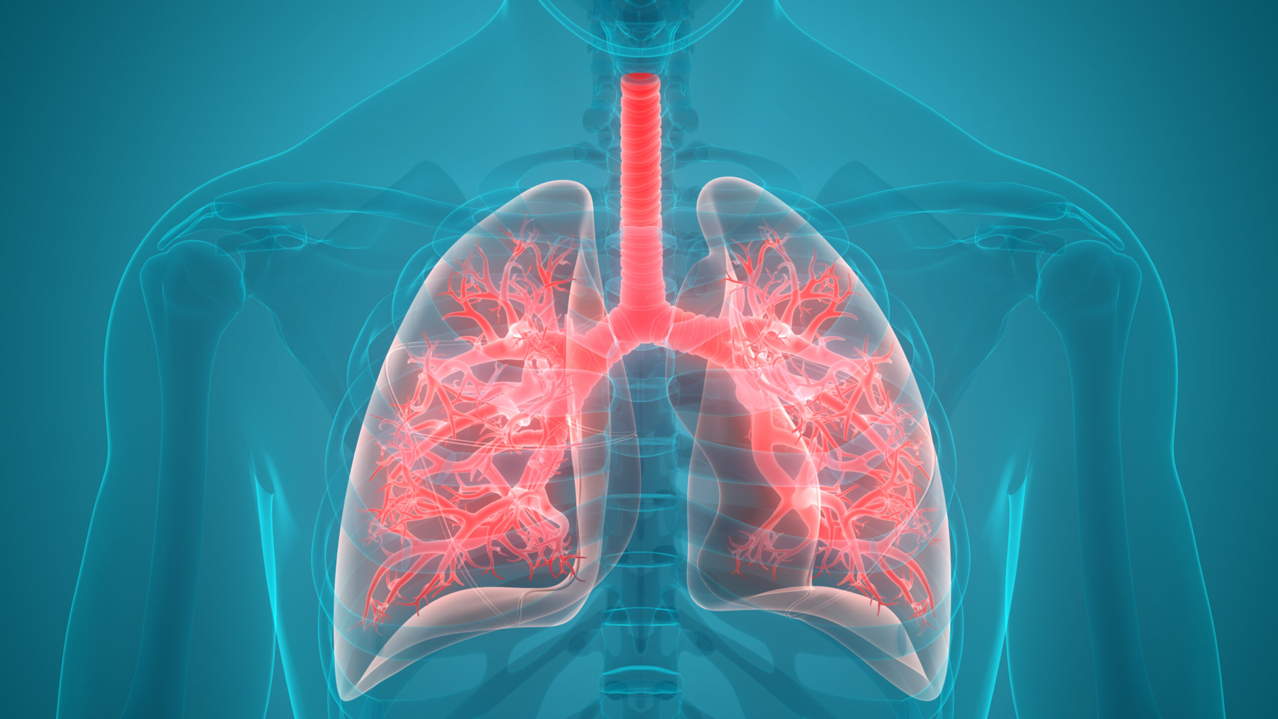 Lung-on-a-Chip Tech Gains Ground in Personalised Respiratory Research Lung-on-a-Chip Tech Gains Ground in Personalised Respiratory Research