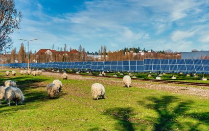 Coed Ely Solar Farm to Help Power Royal Glamorgan Hospital