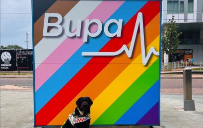 Bupa Improves Accessibility for its 45 Million Customers 