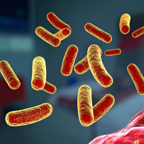 Rise in MRSA Cases in the UK Sparks Urgent Call for Awareness and Prevention
