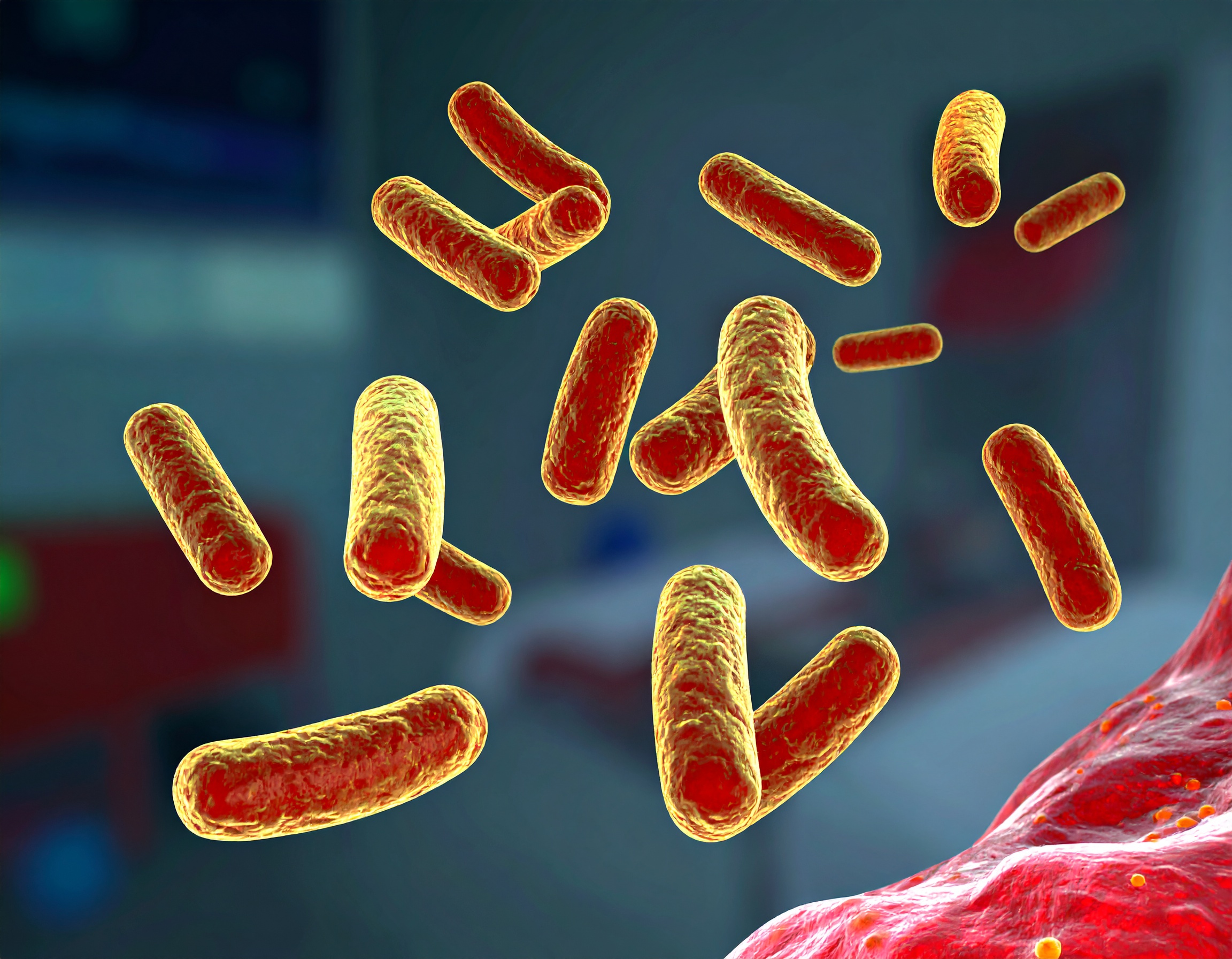 Rise in MRSA Cases in the UK Sparks Urgent Call for Awareness and Prevention Rise in MRSA Cases in the UK Sparks Urgent Call for Awareness and Prevention